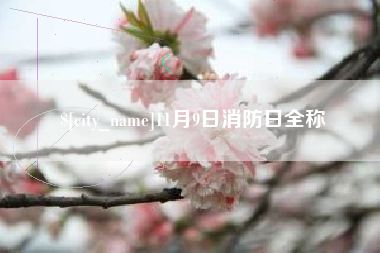 鹤壁11月9日消防日全称