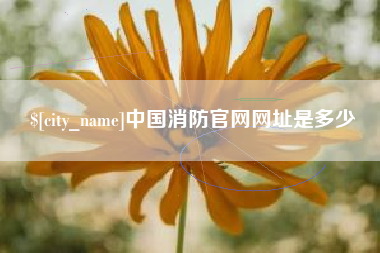 鹤壁中国消防官网网址是多少