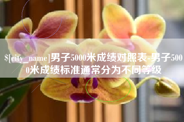 鹤壁男子5000米成绩对照表-男子5000米成绩标准通常分为不同等级