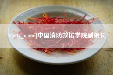 鹤壁中国消防救援学院副院长