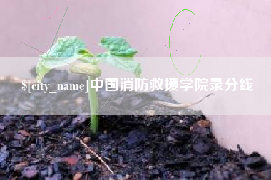 鹤壁中国消防救援学院录分线