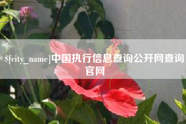 鹤壁中国执行信息查询公开网查询官网