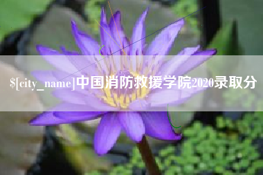 鹤壁中国消防救援学院2020录取分
