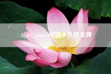 鹤壁中国十九枚金牌