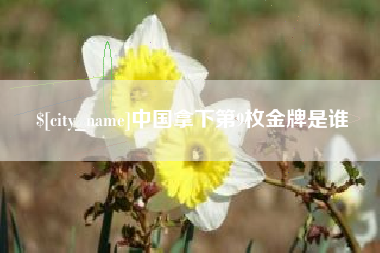 鹤壁中国拿下第9枚金牌是谁