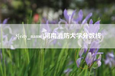 鹤壁河南消防大学分数线