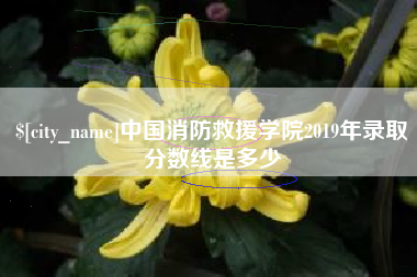 鹤壁中国消防救援学院2019年录取分数线是多少