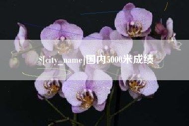 鹤壁国内5000米成绩