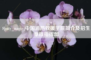 鹤壁中国消防救援学院简介及招生章程指挥部