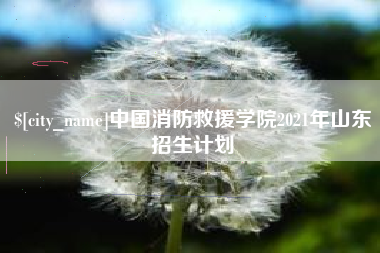 鹤壁中国消防救援学院2021年山东招生计划