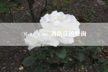 鹤壁消防证的查询