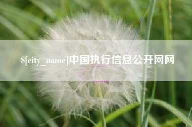 鹤壁中国执行信息公开网网