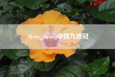鹤壁中国九连冠