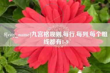 鹤壁九宫格规则,每行,每列,每个粗线都有1-9