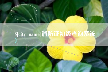 鹤壁消防证初级查询系统