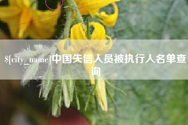 鹤壁中国失信人员被执行人名单查询