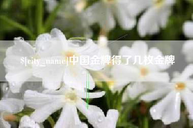 鹤壁中国金牌得了几枚金牌