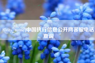 鹤壁中国执行信息公开网客服电话查询