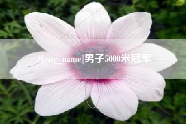 鹤壁男子5000米冠军
