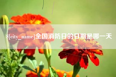 鹤壁全国消防日的日期是哪一天