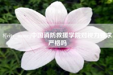 鹤壁中国消防救援学院对视力要求严格吗