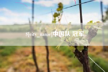 鹤壁中国队 冠军