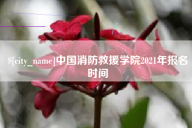 鹤壁中国消防救援学院2021年报名时间