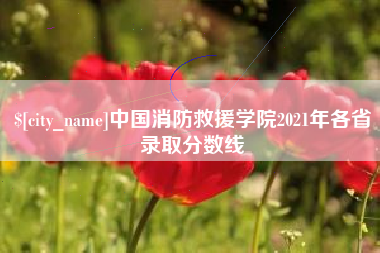 鹤壁中国消防救援学院2021年各省录取分数线