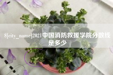 鹤壁2021中国消防救援学院分数线是多少