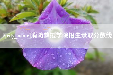 鹤壁消防救援学院招生录取分数线