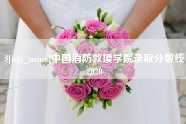 鹤壁中国消防救援学院录取分数线2020