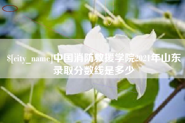 鹤壁中国消防救援学院2021年山东录取分数线是多少