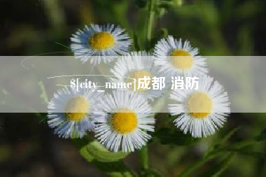 鹤壁成都 消防