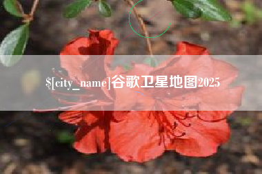 鹤壁谷歌卫星地图2025
