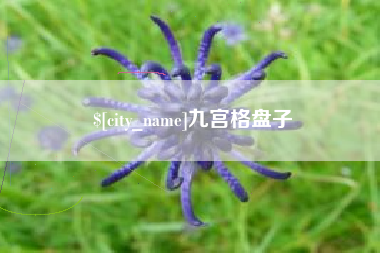 鹤壁九宫格盘子