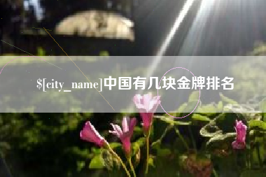 鹤壁中国有几块金牌排名