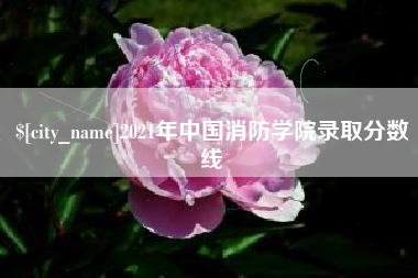 鹤壁2021年中国消防学院录取分数线