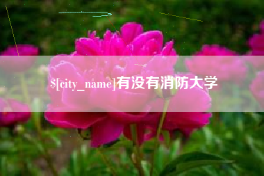 鹤壁有没有消防大学