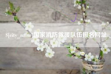 鹤壁国家消防救援队伍报名网址