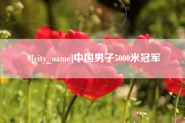 鹤壁中国男子5000米冠军