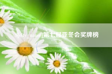 鹤壁第七届亚冬会奖牌榜