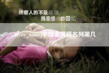 鹤壁中国金牌榜名列第几