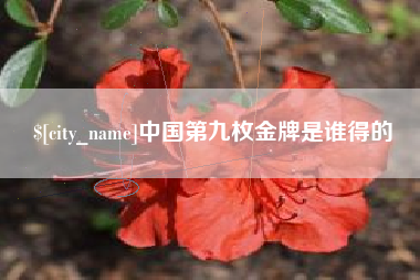 鹤壁中国第九枚金牌是谁得的