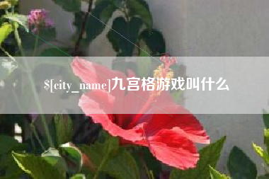鹤壁九宫格游戏叫什么