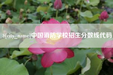 鹤壁中国消防学校招生分数线代码