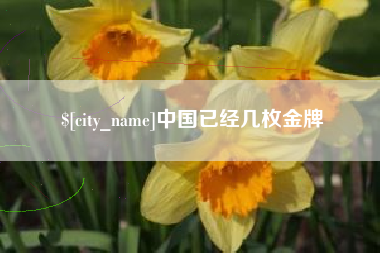 鹤壁中国已经几枚金牌