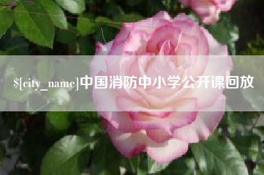 鹤壁中国消防中小学公开课回放