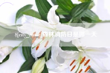 鹤壁森林消防日是哪一天