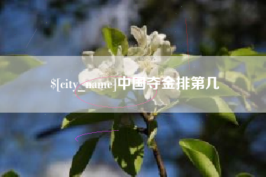 鹤壁中国夺金排第几