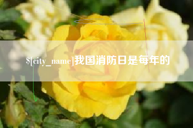 鹤壁我国消防日是每年的